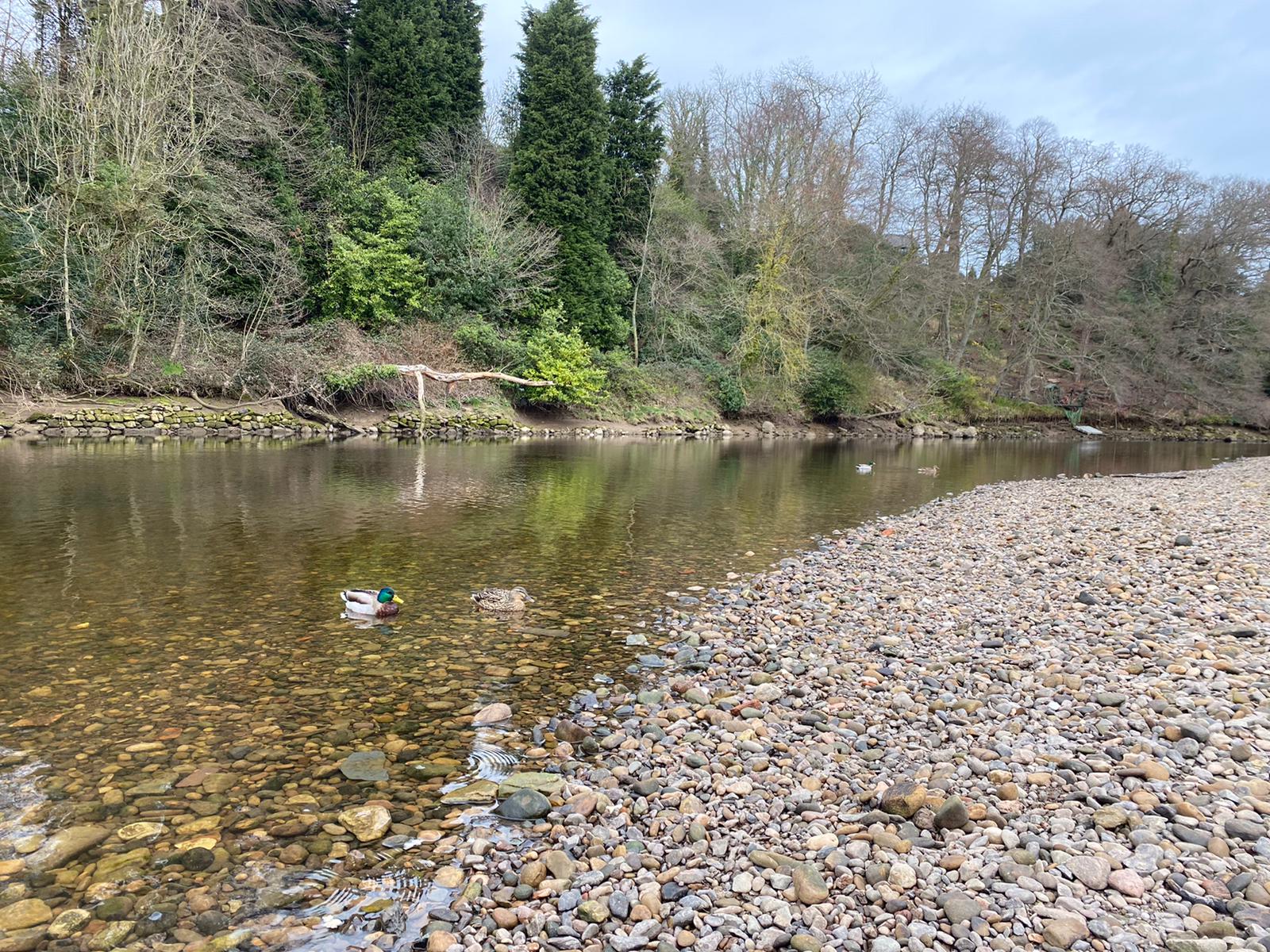 Coquet River View 3