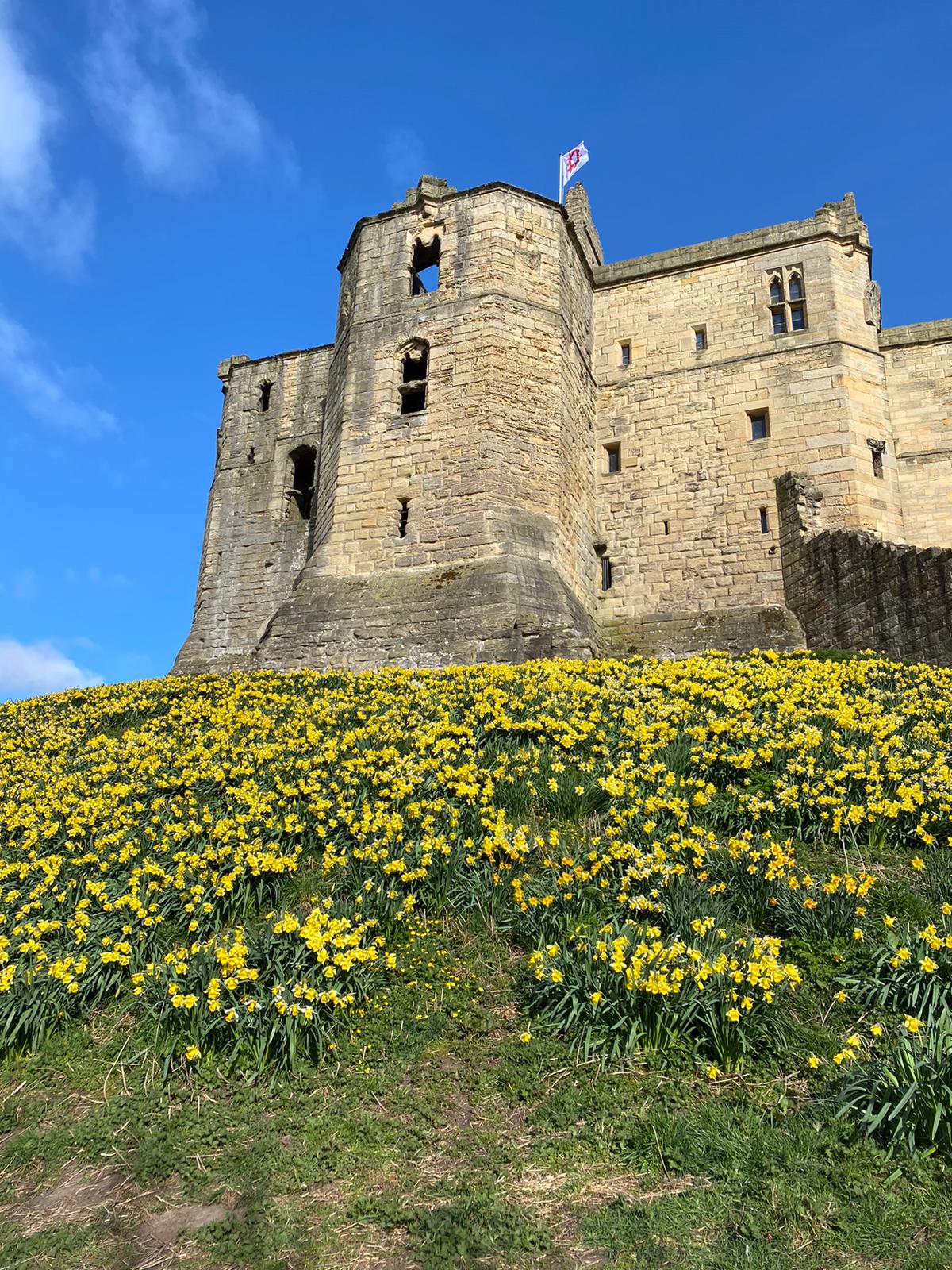 Warkworth Castle 3